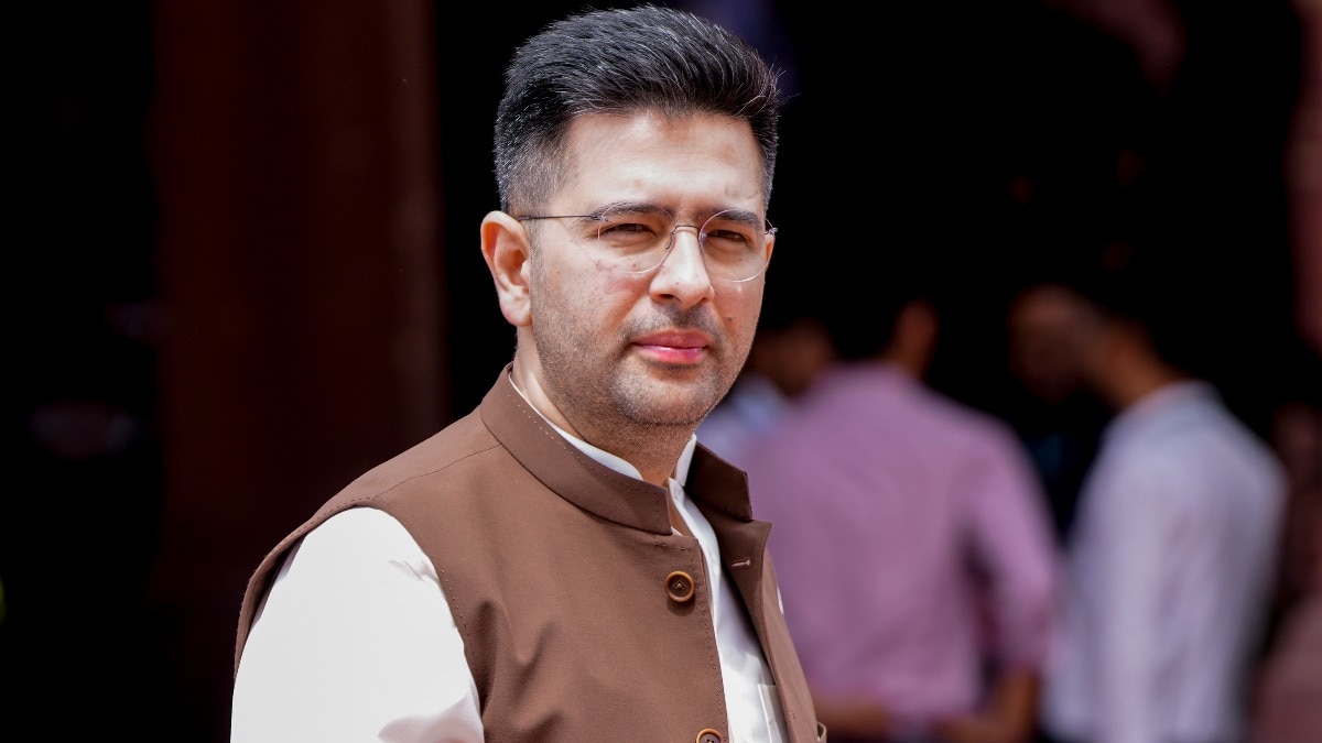 Can't curb political criticism: Court on Raghav Chadha's personality rights plea