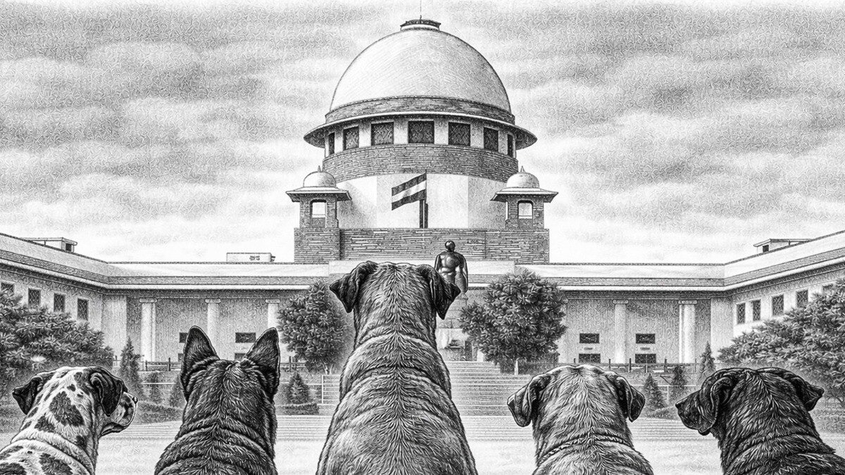 SC allows euthanasia of rabid, incurable dogs to curb threat to human life