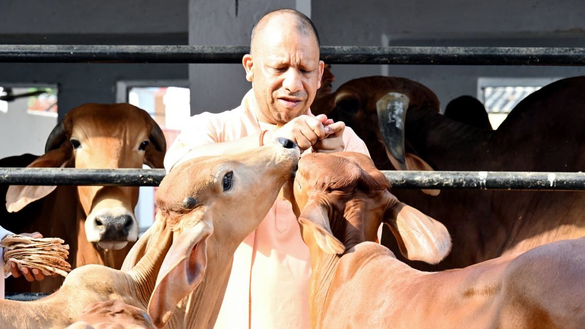 How BJP aims to milk UP dairy masterplan in 2027 elections